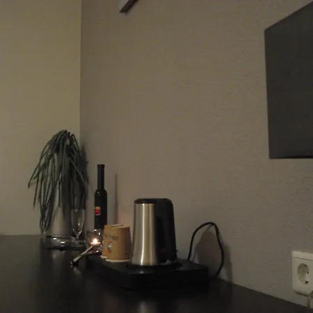 Restaurant Fritz Hotel 3*