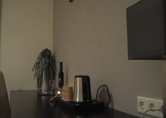 Restaurant Fritz Hotel 3*